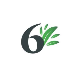 number six logo with green leaves natural number 6 logo free vector