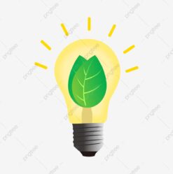 pngtree vector free buckle cartoon light bulb png image 4511873 247x249 1